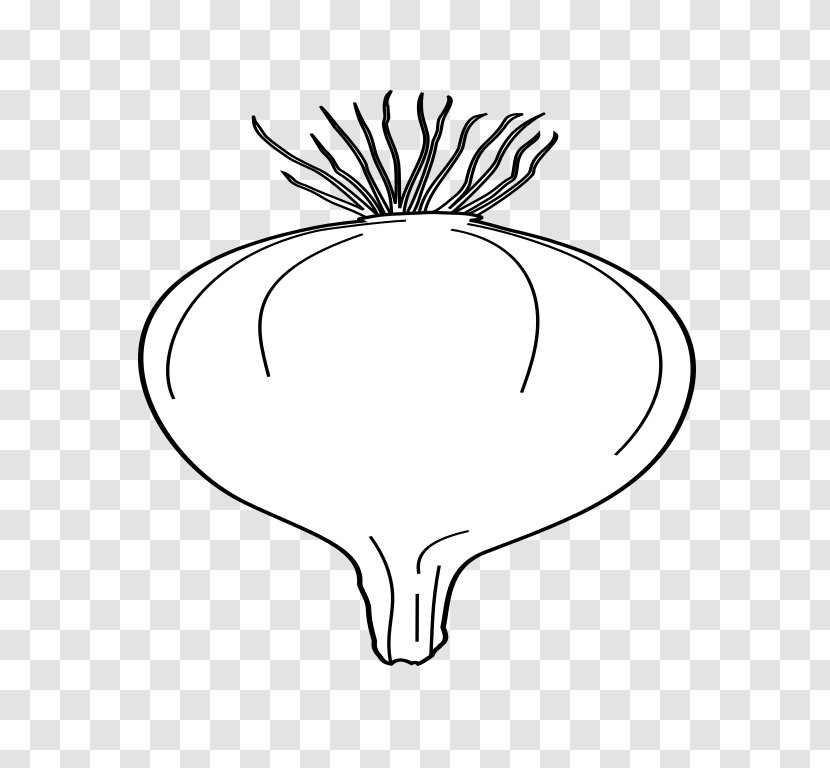 Onion Drawing Clip Art - Flower Transparent PNG