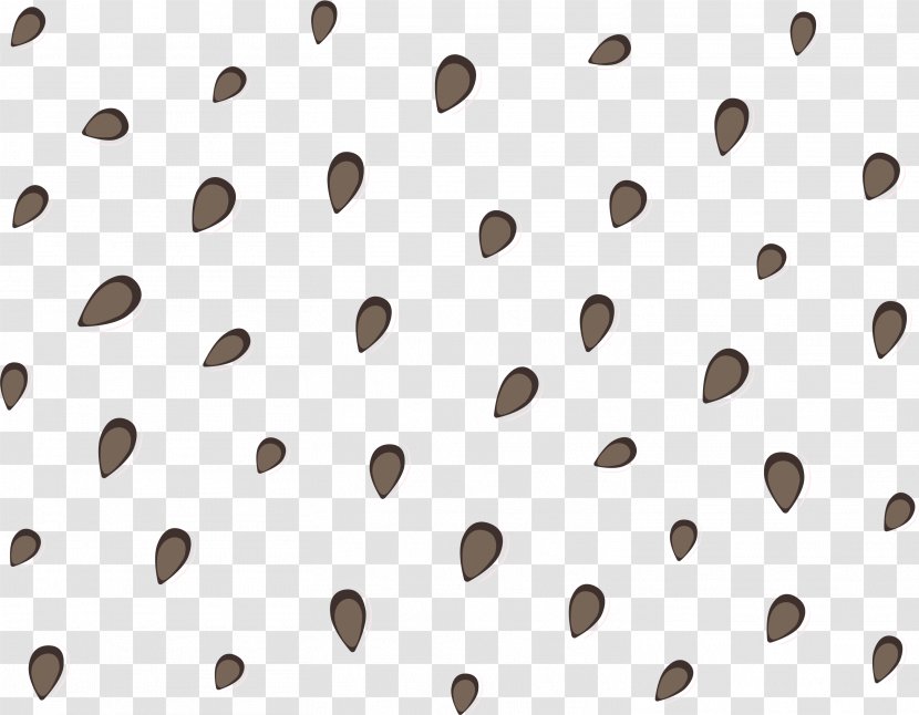 Line Angle Point - White - Watermelon Seeds Floating Material Transparent PNG