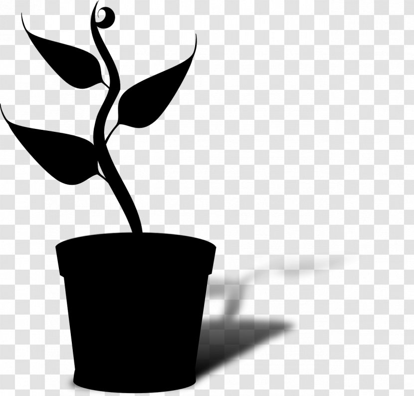 Pride Of India Leaf Crepe-myrtle Plants Flowering Plant - Botany - Gregor Mendel Transparent PNG