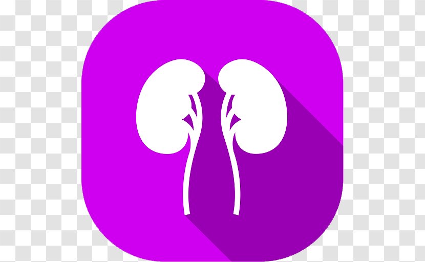 Dialysis Kidney Failure Chronic Disease - Orko Transparent PNG