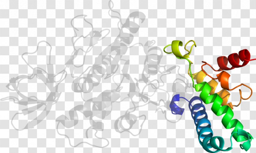 Human Behavior Organism Line Clip Art - Text - Sterilized Virus Antibody Transparent PNG