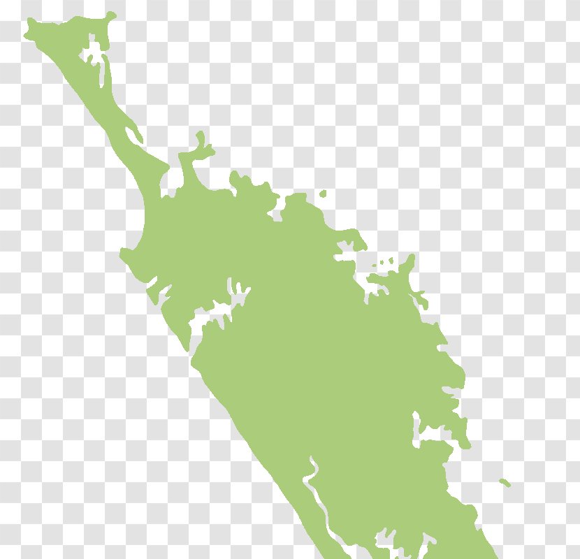 Far North District Map Poor Knights Islands Doubtless Bay - Tree Transparent PNG