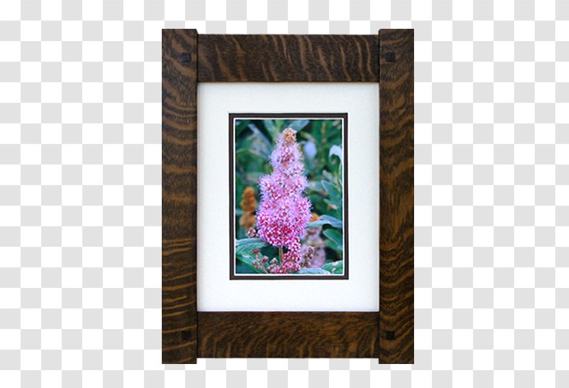 Picture Frames Framing Mirror - Timber - Solid Wood Border Transparent PNG