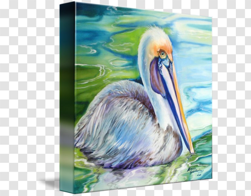 Louisiana Bird Watercolor Painting Pelican Transparent PNG