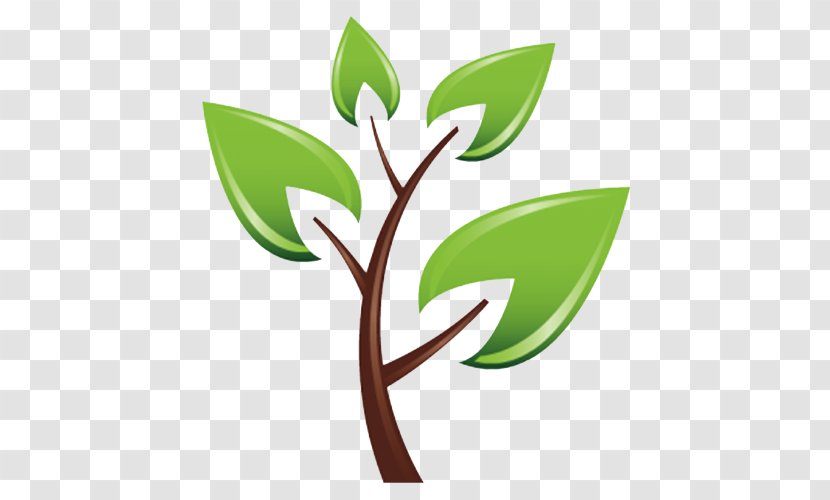Tree Planting Sowing Montrose Services Clip Art - Nursery Transparent PNG