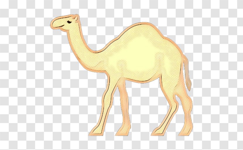 Camel Camelid Arabian Terrestrial Animal Figure - Retro - Fawn Livestock Transparent PNG