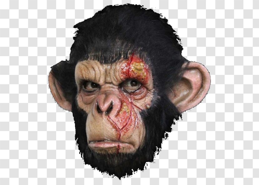 Chimpanzee Ape Gorilla Primate Mask - Monkey Transparent PNG