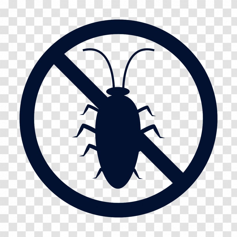 No Symbol Unmanned Aerial Vehicle Royalty-free - Insect - Fixed Price Transparent PNG