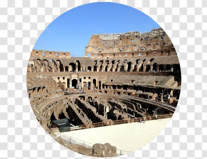 Colosseum Ancient Rome Vatican City Gladiator Ruins Transparent PNG