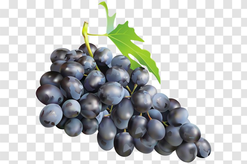 Muscadine Grape Zante Currant Sultana Muscat - Natural Foods Transparent PNG