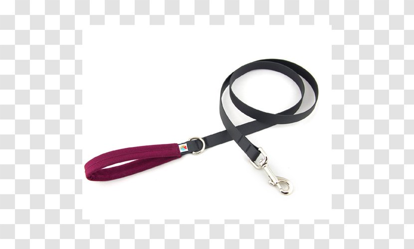 Leash Computer Hardware - Fashion Accessory - Dog Lead Transparent PNG