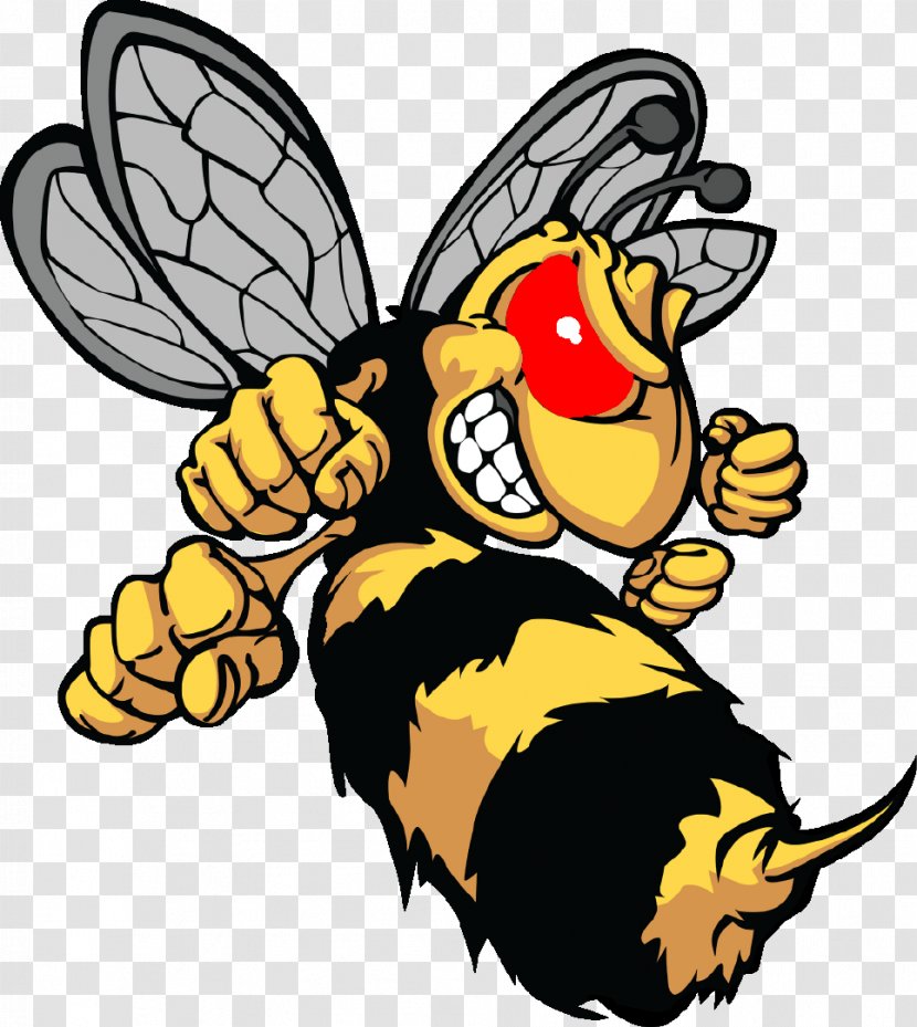 Hornet Bee Cartoon - Honey Transparent PNG