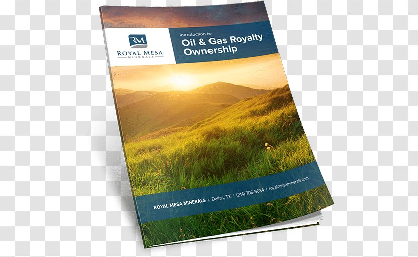 BT Frog: Beginning To Fully Rely On God Paperback Petroleum Brochure Natural Gas - Grass - Watercolor Mineral Transparent PNG