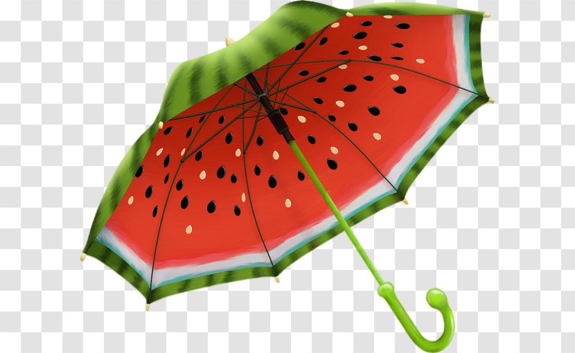 Umbrella Gift Shop Souvenir Raincoat - Melon Transparent PNG