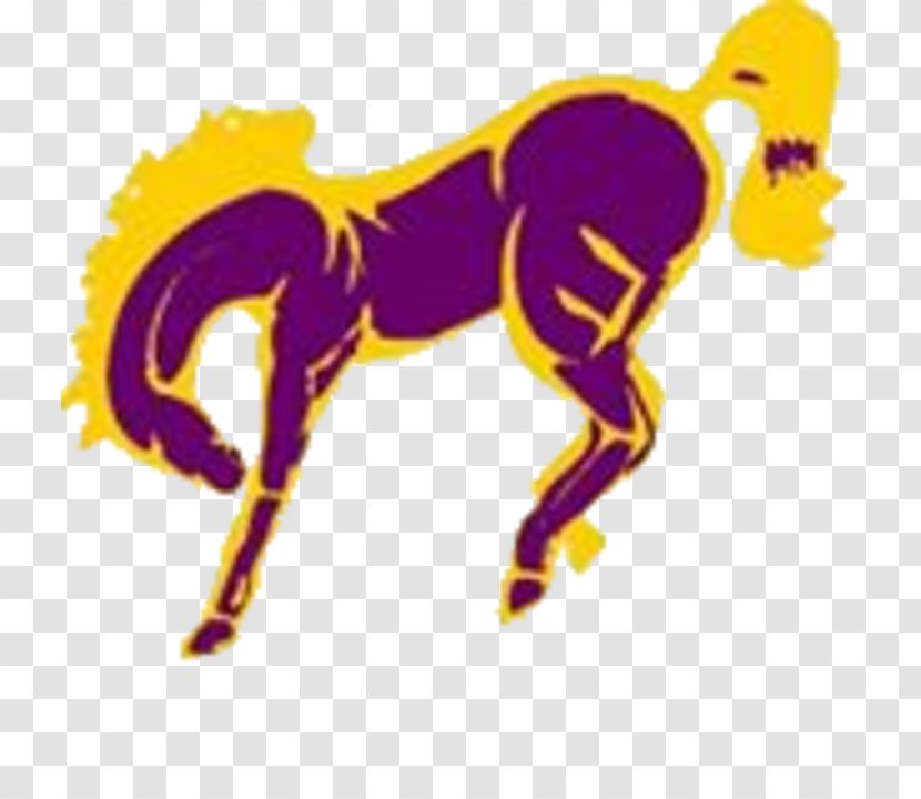 Red Wing Duluth International Falls Police Mesabi Range High School - Sport - Broncos Transparent PNG