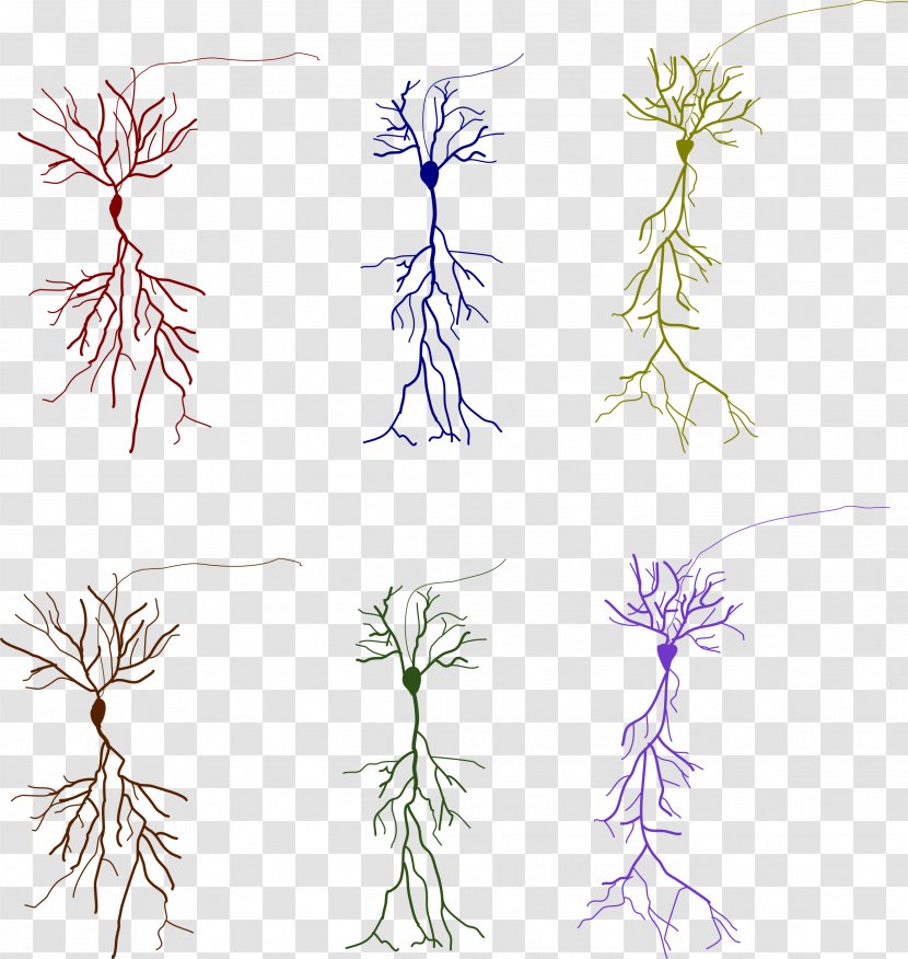 Neuroglia Neuron SafeSearch Plant - Branch - Neurons Transparent PNG