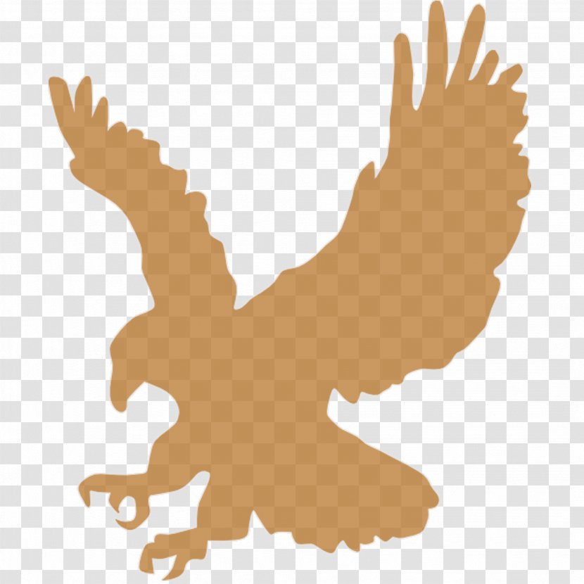 Bald Eagle Clip Art - Hand - Golden Transparent PNG