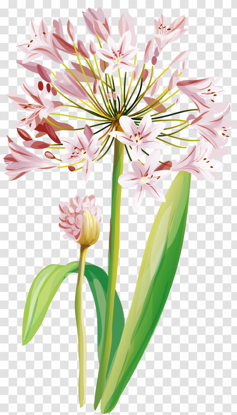 Vector Graphics Watercolor Painting Clip Art Flower - Flowering Plant Transparent PNG