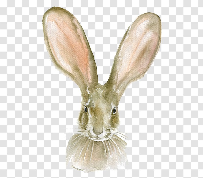 Watercolor Painting Paper Printmaking Printing - Domestic Rabbit - Bugs Bunny Transparent PNG