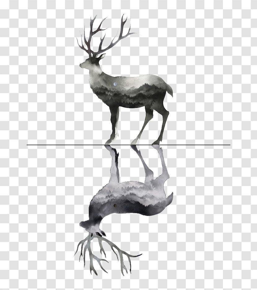 Deer Watercolor Painting Drawing - Wildlife Transparent PNG