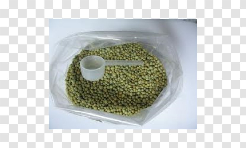 Fertilisers Nutrient Controlled-release Fertiliser Adubação Houseplant - Bean - Common Lilly Pilly Transparent PNG