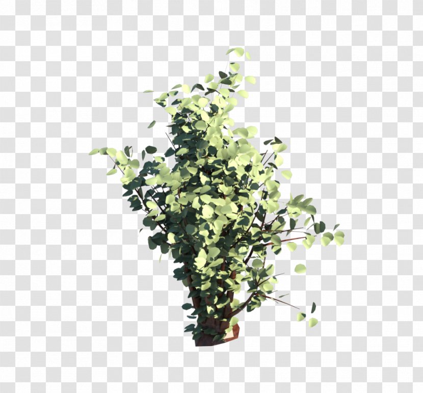Flowerpot Herb Shrub Branching - Branch - Arbusto Transparent PNG