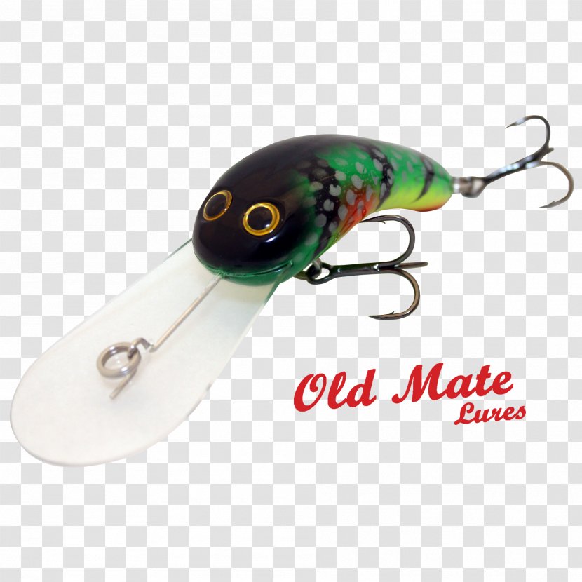 Spoon Lure Spinnerbait Plug Golden Perch Fishing Baits & Lures - Australian Green Tree Frog Transparent PNG