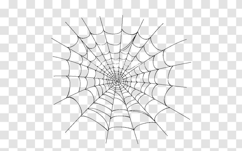 Spider Web Clip Art - Redback Transparent PNG