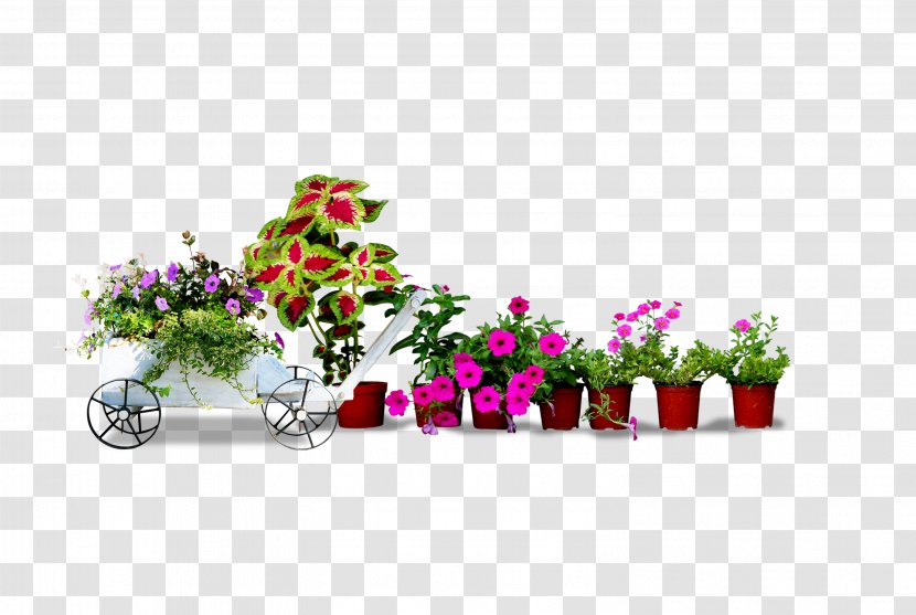 Flowerpot Bonsai Crock Houseplant - Rose Family - Small Potted Plants Transparent PNG