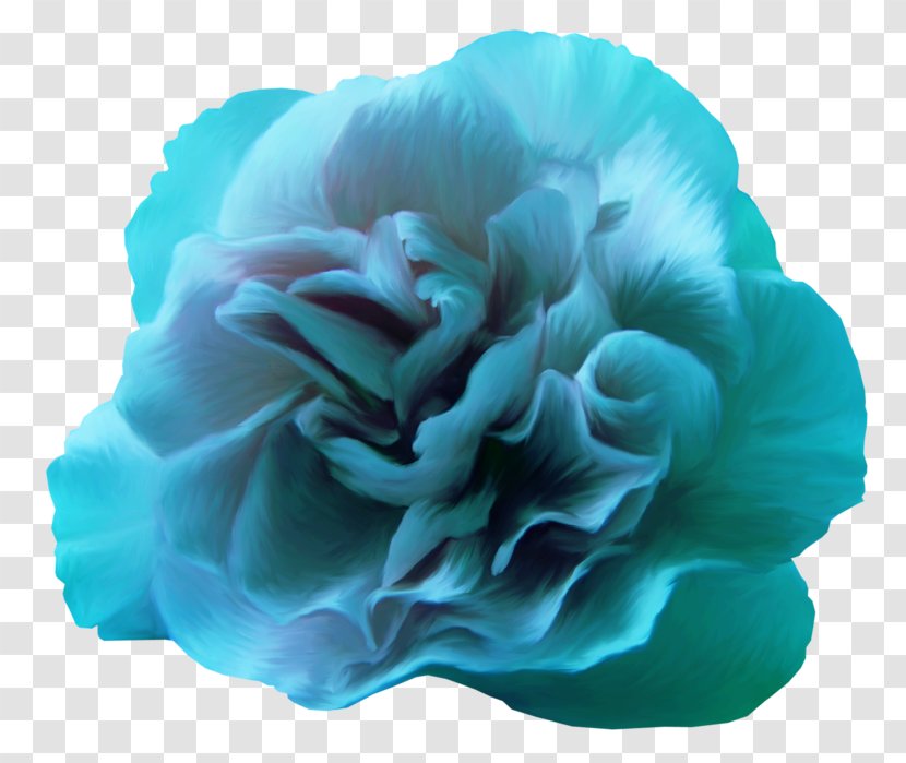 Blue Rose Flower Color Transparent PNG