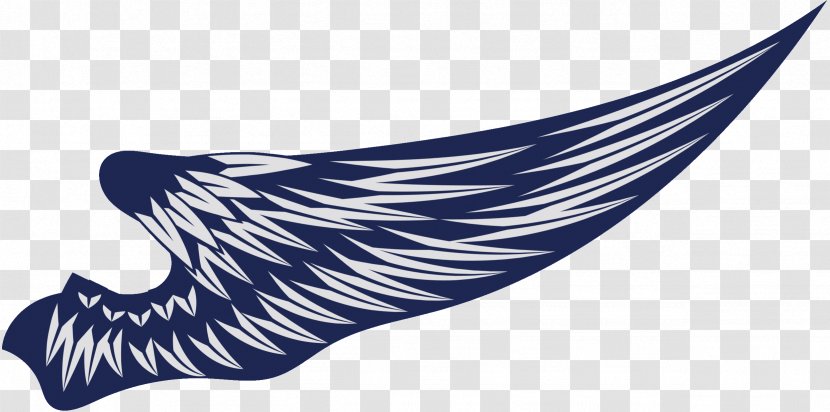 Fish Font Line Beak Feather - Wing Transparent PNG