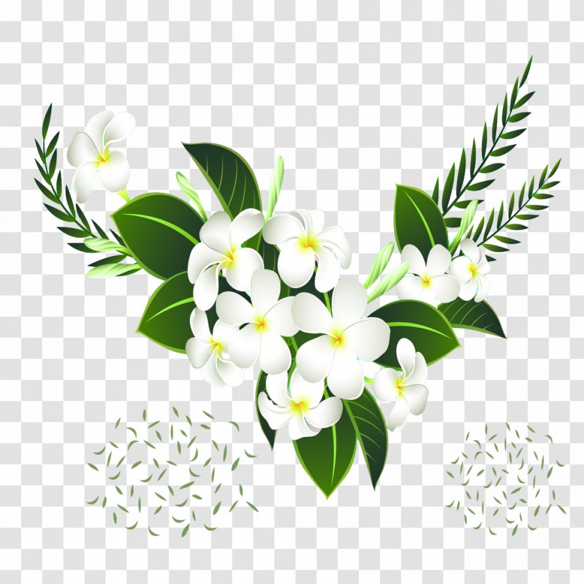 Flower - Cut Flowers - Floral Design Transparent PNG