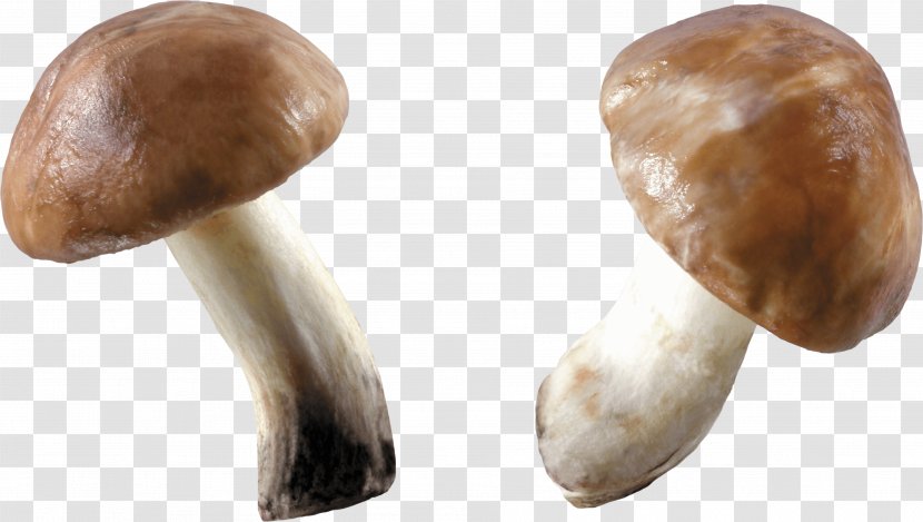 Stuffed Mushrooms Computer File - Edible Mushroom - Image Transparent PNG