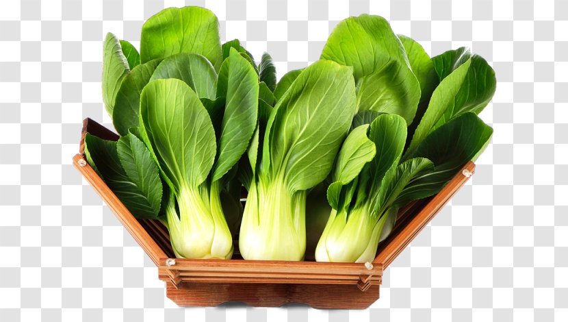 Vegetable Leaf Food Choy Sum Plant - Herb Flower Transparent PNG