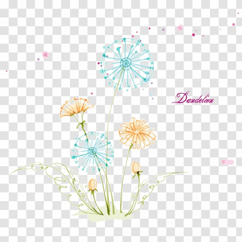 Common Dandelion Drawing Euclidean Vector Floral Design Visual Arts - Flora Transparent PNG