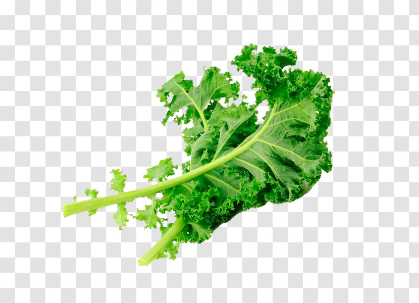 Kale Romaine Lettuce Collard Greens Spring Rapini Transparent PNG