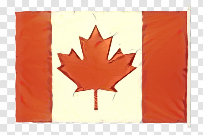 Flag Of Canada Quebec Maple Leaf - Plant - Decal Transparent PNG