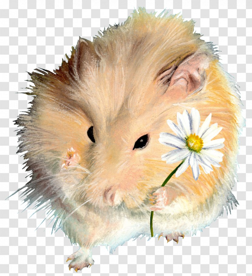 Rodent Hamster Guinea Pig Dormouse - Flower - Get Well Soon Transparent PNG
