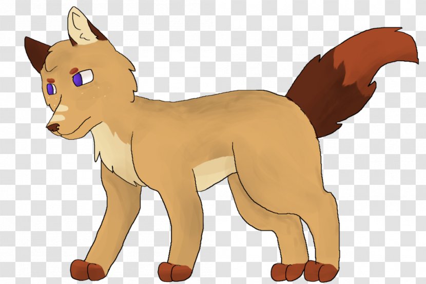 Whiskers Cat Dog Red Fox Fur - Mammal Transparent PNG