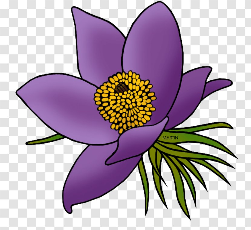 African Violets Clip Art - Flowering Plant Transparent PNG
