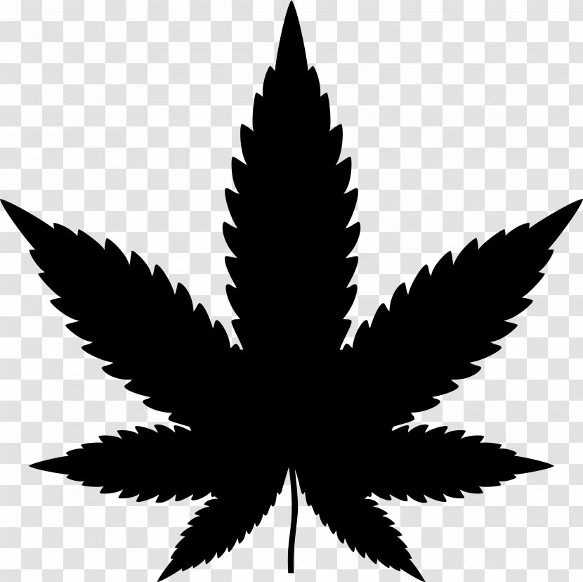 Cannabis Sativa Clip Art Image Vector Graphics - Blackandwhite - Perennial Plant Transparent PNG