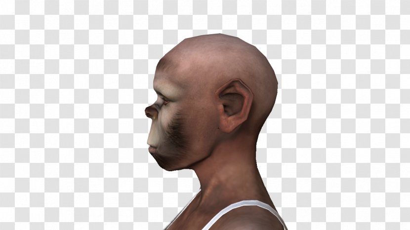 Nose Chin Forehead Hearing - Muscle - Show Yourself Transparent PNG