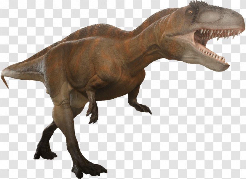 Tyrannosaurus Acrocanthosaurus Allosaurus Moab Giants - Long Neck Animals Transparent PNG