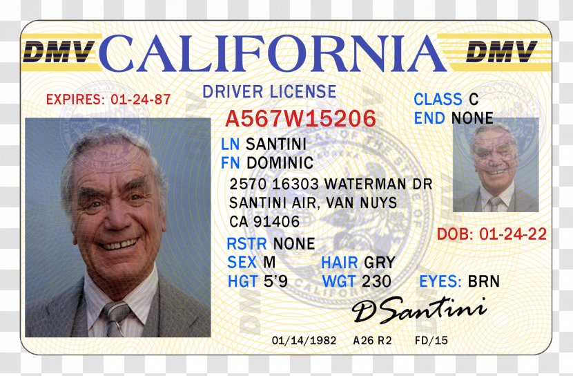 California Driver's License Dominic Santini Driving - Drivers Transparent PNG