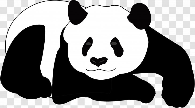 Giant Panda Bear Koala Clip Art - Head - Black-and-white Transparent PNG