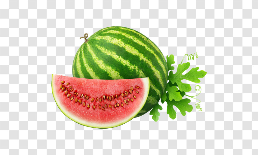 Watermelon Transparent PNG