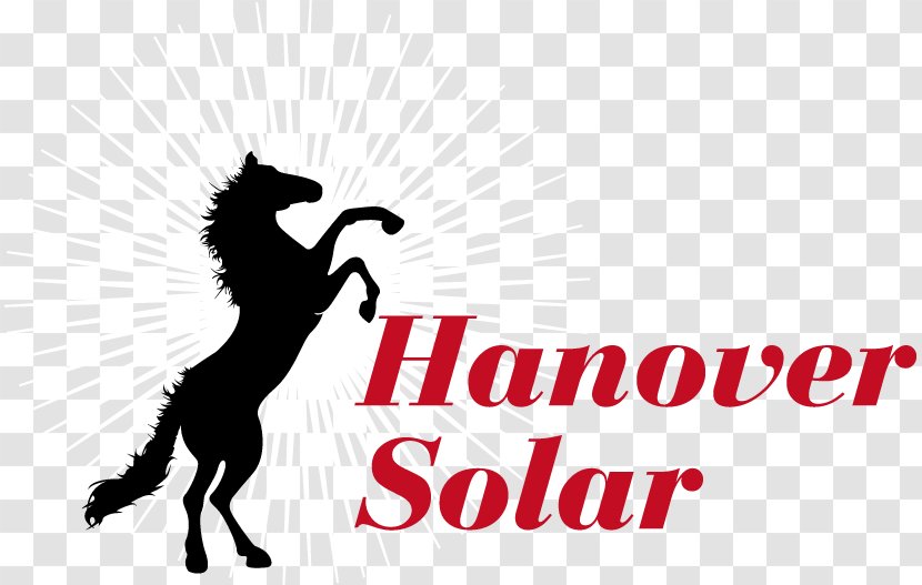 Solar Power Panels Energy Photovoltaic System Cell - Mammal - Hanover Transparent PNG