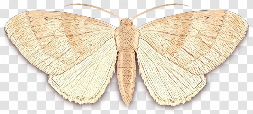 Butterfly Cartoon - Lymantriidae Cutworms Transparent PNG