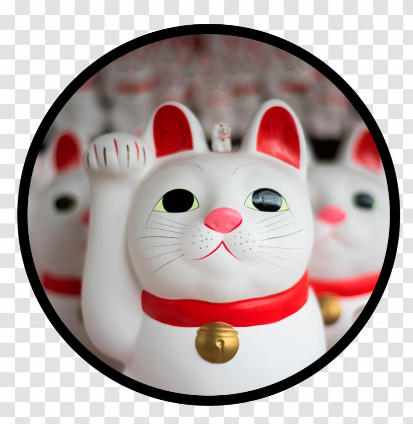 Book The Wind-Up Bird Chronicle Maneki-neko Abyssinian Nomad: An African Woman's Journey Of Love, Loss, & Adventure From Cape To Cairo Gesture - Japan Transparent PNG