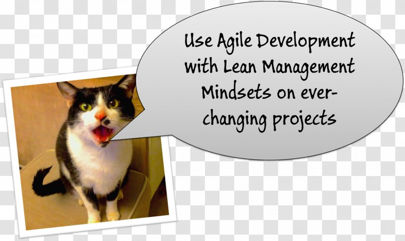 Whiskers Agile Software Development Project Management Dog Transparent PNG